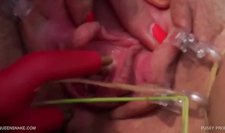 - blind fick fest im wald mit fängen schicksal deutsche pornofilme kostenlos anschauen