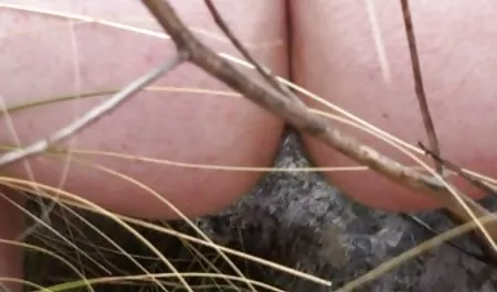 Desi indian Sex neueste neue deutsche fickfilme Video