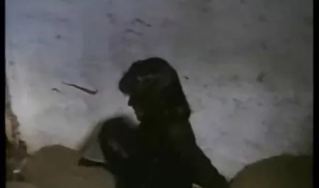 Nikki Taylor schluckt einen engen Schwanz geile deutsche fickfilme