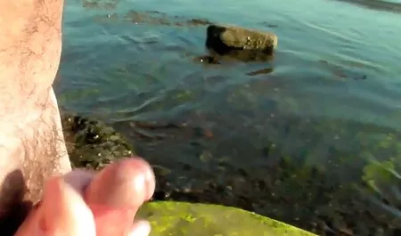 Lebell !! suche deutsche pornofilme