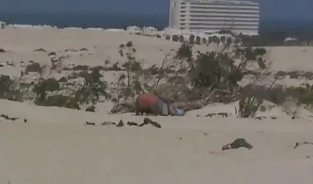 Baby Mädchen vater und tochter sexfilme tanzen