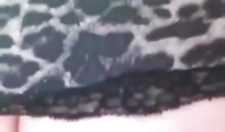 Die ersten drei Alba deutsche sexfilme in hd und Vivi zu vermieten